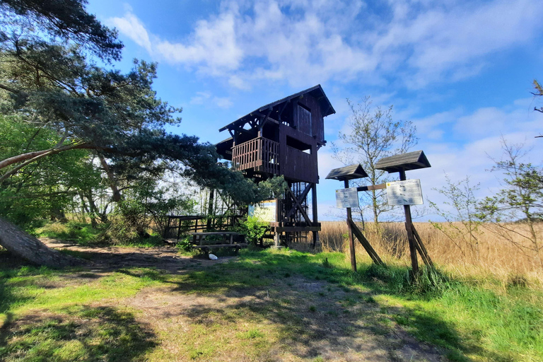 Explore a ilha de Sobieszewo: Caminhada pela natureza e excursão a pé pela vida selvagem