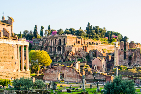 Roma: Visita a la Arena del Coliseo, el Foro Romano y el PalatinoExcursión Arena Express con Foro Romano en español