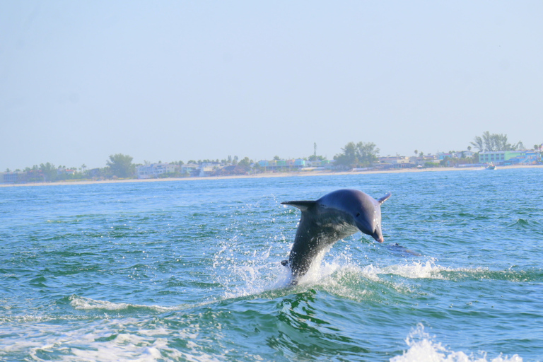 90-Minute Parasailing Adventure in Anna Maria Island, FL