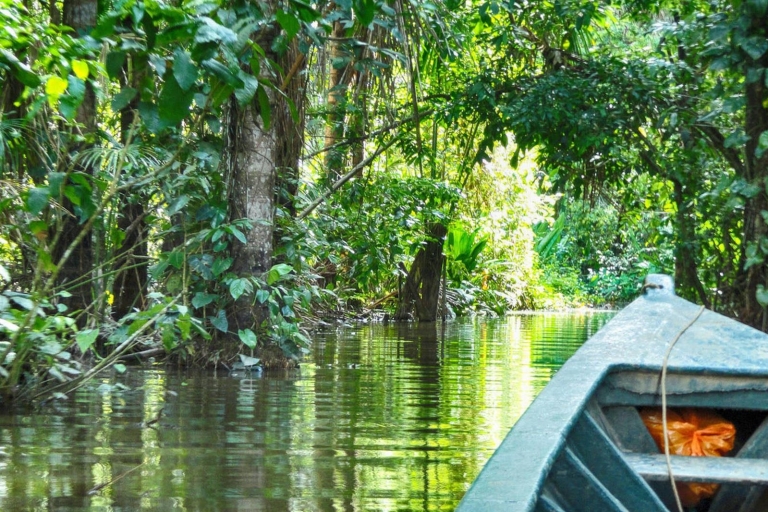 Jungle Tambopata 2D |Apeneiland + Zoeken naar alligators
