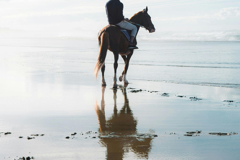 Homer: Guided Beach Horseback Ride with Wildlife Views