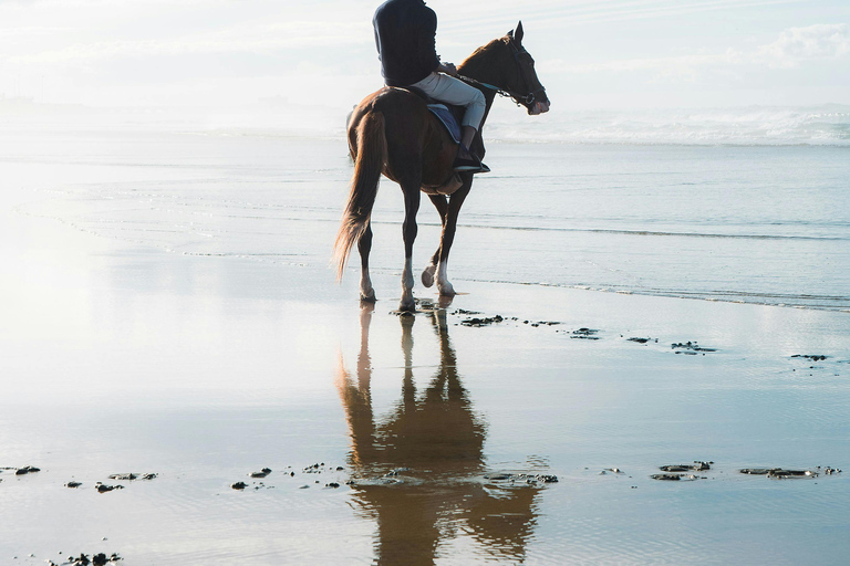 Homer: Guided Beach Horseback Ride with Wildlife Views