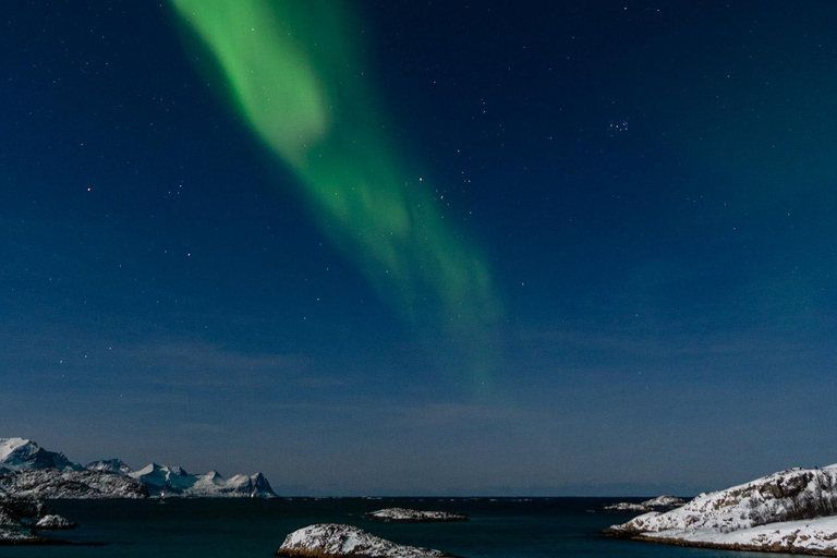 Tromsø: Northern Lights Tour with Photos and Hotel Transfer