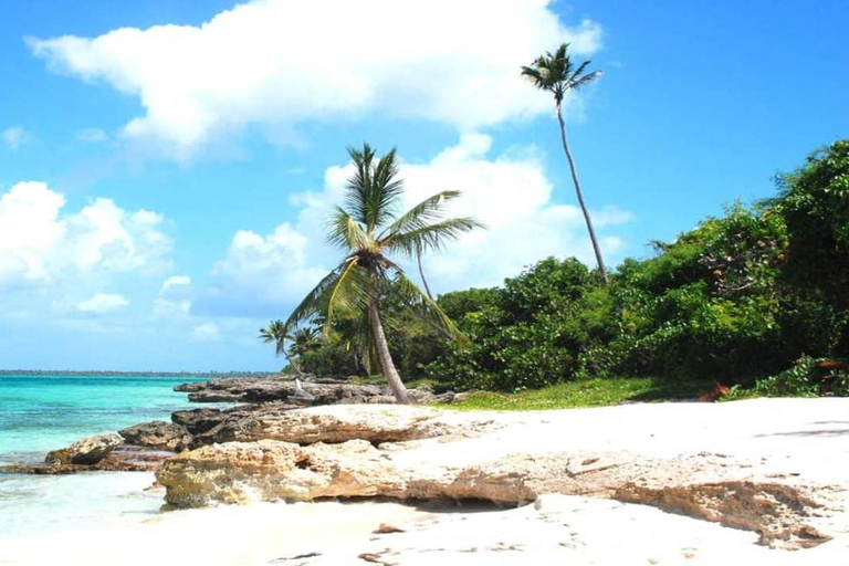 From Punta Cana: Saona Island Tour with BBQ Lunch