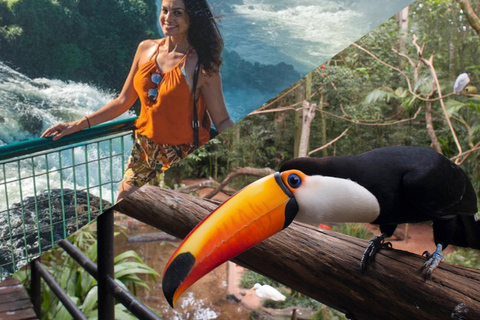 Private Premium Experience – Brazil Side of Iguazu Falls & Bird Park Premium Private Experience – Iguazu Falls Brazil & Bird Park
