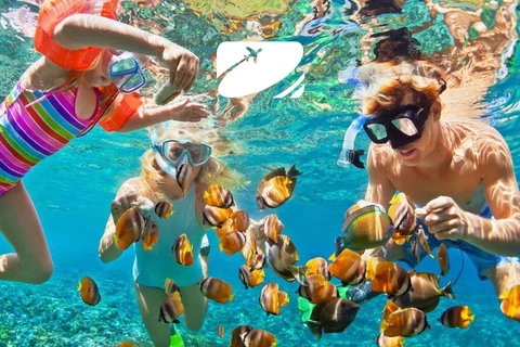 Da Nang: Ilha Cham: mergulho com snorkel e passeio turístico