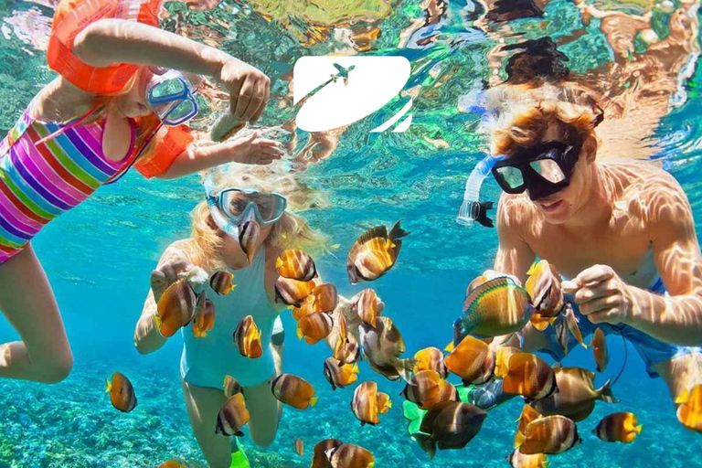 Da Nang: Ilha Cham: mergulho com snorkel e passeio turístico