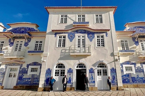 From Porto: Aveiro and Costa Nova Half-Day Tour with Cruise