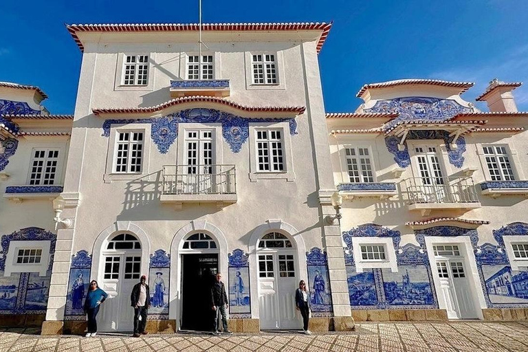 From Porto: Aveiro and Costa Nova Half-Day Tour with Cruise