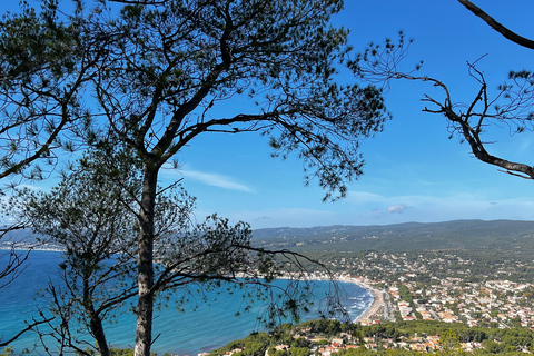 Saint-Cyr-sur-mer: guided hike to the Sand Dune