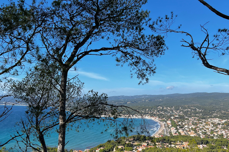 Saint-Cyr-sur-mer: guided hike to the Sand Dune