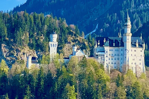 Tegelberg: Neuschwanstein Scenic Guided Photo Tour & Ticket