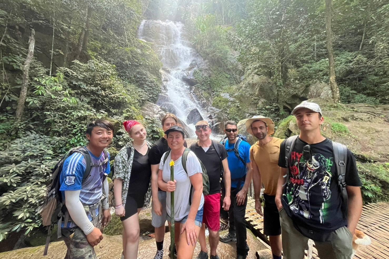 Chiang Rai: Jungle Adventure-Group Trekking & Bamboo Cooking