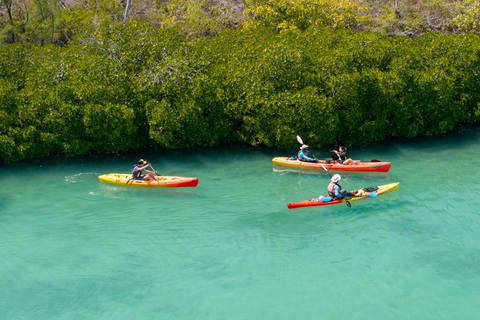 Ile d Ambre Kayakkayak en el Parque Nacional de Ile d Ambre