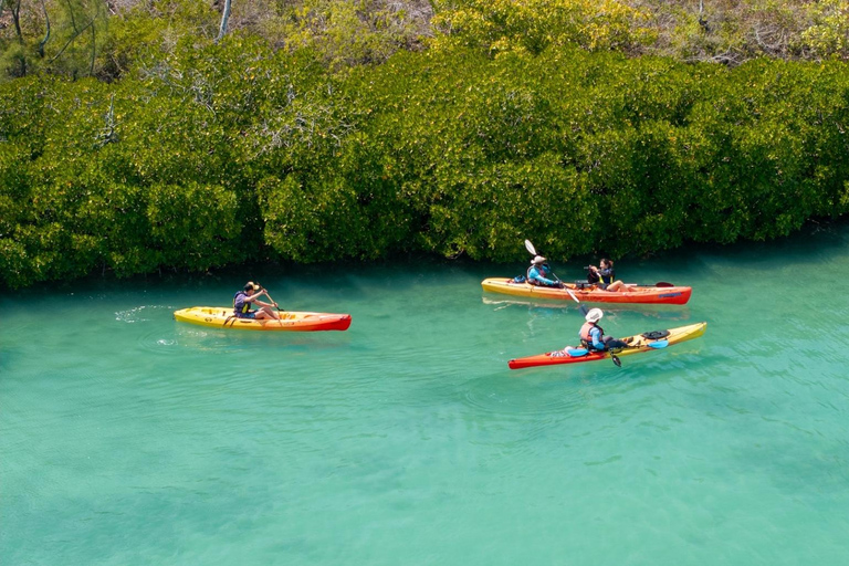 Ile d Ambre Kayakkayak en el Parque Nacional de Ile d Ambre