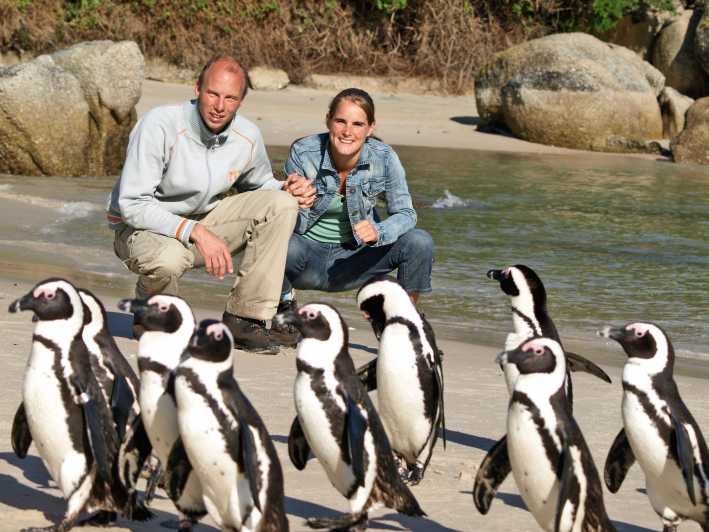 De la Cape Town: Capul Bunei Speranțe și pinguinii - tur ghidat