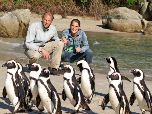 Visit From Cape Town Cape of Good Hope and Penguins Guided Tour in Cidade do Cabo