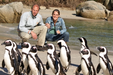 Península del Cabo: tour en grupo reducido con pingüinosPenínsula del Cabo: tour compartido de un día con pingüinos
