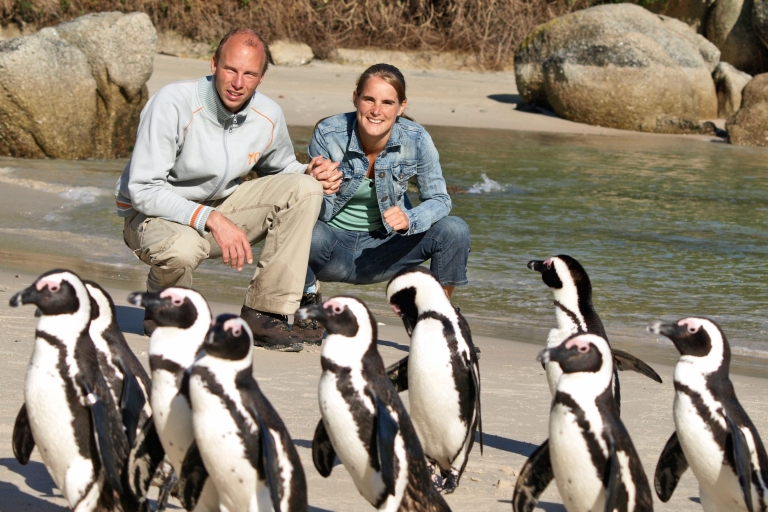 Kaapse Schiereiland: dagtrip pinguïns kijken in kleine groepKaapse Schiereiland: gedeelde dagtour incl. pinguïns kijken