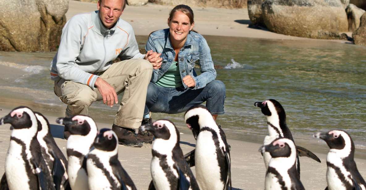 Cape of Good Hope and Penguins Guided Tour