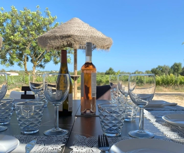 Lagos/Praia da Luz: Wine Tour, Tastings, Tapas, and Music