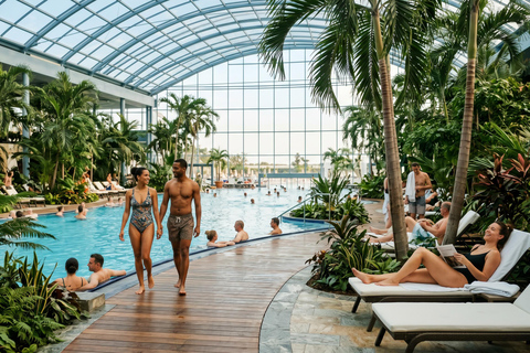 Bucharest Therme Wellness Transfer with Skip-the-Line Ticket Therme - Palm + Galaxy with Skip-the-Round ticket 3 HOURS