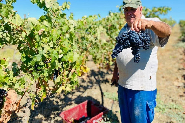 Cadiz: Ecological Vineyards Wine Tasting