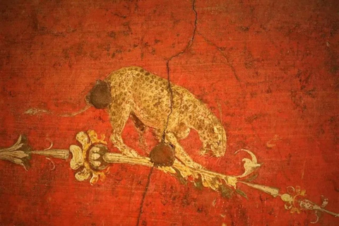 Pompei and Herculaneum: Skip the Line Entry + Audioguide