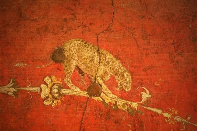 Pompei and Herculaneum: Skip the Line Entry + Audioguide