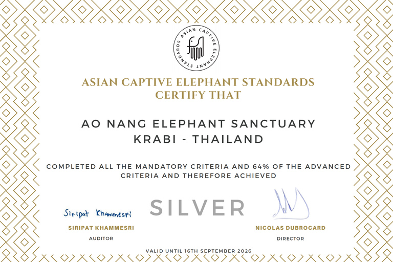 Krabi: Ao Nang Elephant Sanctuary Tour