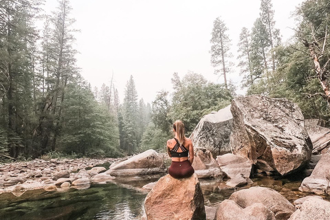 San Jose : Voyage dans le parc national de Yosemite et les séquoias géantsSan Jose : Voyage au parc national de Yosemite et aux séquoias géants