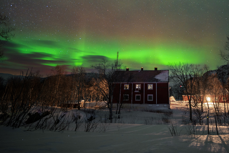 From Narvik: The Northern Lights Arctic Train Guided Tour