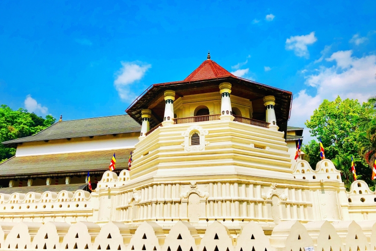 Verken Sigiriya, Kandy, Nuwaraeliya, Galle vanuit Colombo