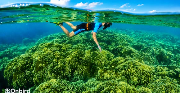 Phu Quoc: 4 Island & 2 Reefs Snorkeling Tour by Speedboat