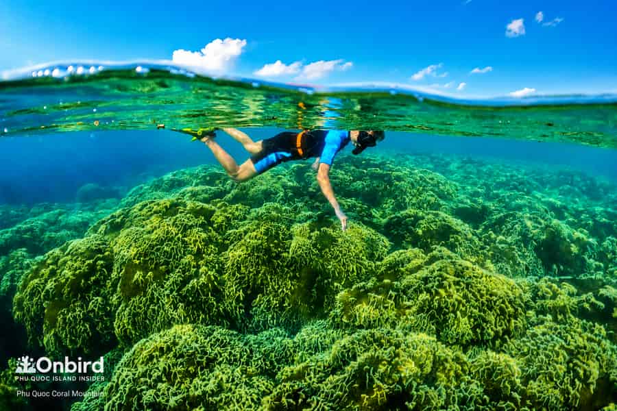 Phu Quoc: Schnorcheltour mit dem Schnellboot zu 4 Inseln und 2 Riffen. Foto: GetYourGuide Phu Quoc: Schnorcheltour mit dem Schnellboot zu 4 Inseln und 2 Riffen. Foto: GetYourGuide