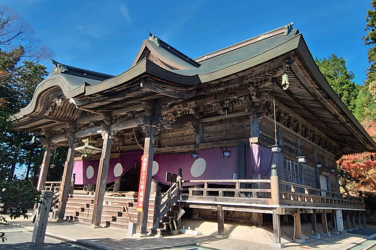 Osaka/Kyoto: Amanohashidate, Ine Bay & Nariaiji Temple Tour From Osaka Meeting Point