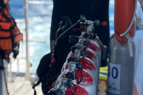 Sharm El Sheikh: Tiran Island Boat Diving & Snorkeling Intro Diving & Snorkeling – No Certification Required