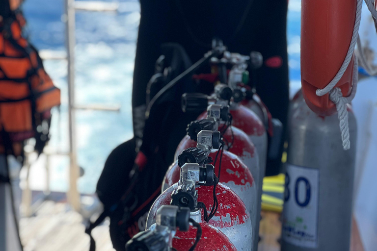 Sharm El Sheikh: Tiran Island Boat Diving & Snorkeling Intro Diving & Snorkeling – No Certification Required