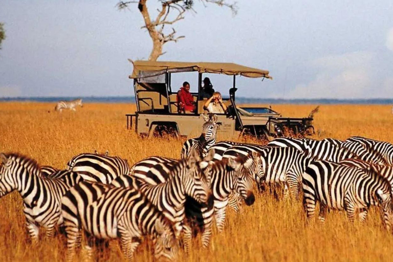 Demi-journée dans la réserve de chasse de Tala et le parc des lions du Natal au départ de Durban