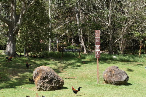 From Oahu: Kauai Waimea Canyon and Koke'e Adventure Tour