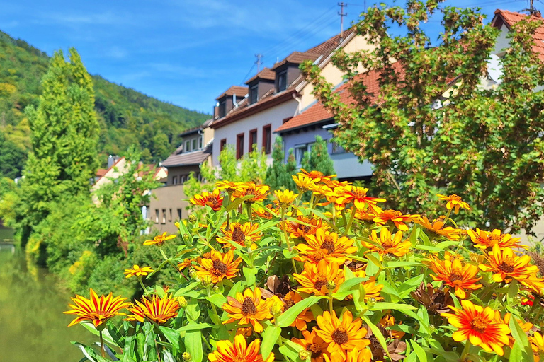 Heidelberg: Neckar River, Cave, Odenwald – Active Highlights Discovery Tour