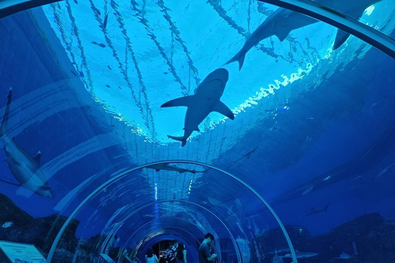 Aventura em Sentosa: Aquário SEA, Teleférico, Madame TussaudsTour particular