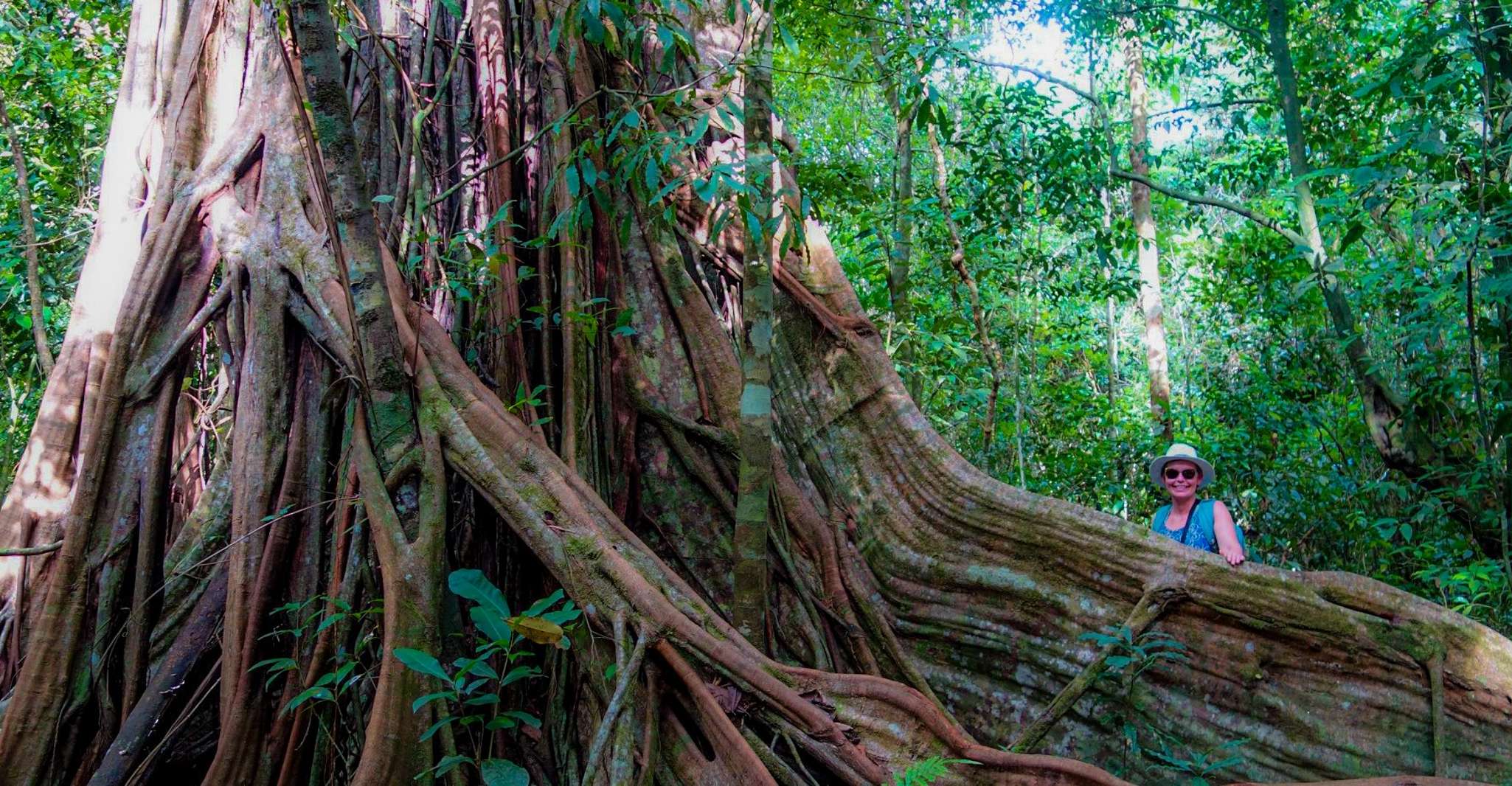 Corcovado National Park - San Pedrillo Station - 1 Day - Housity