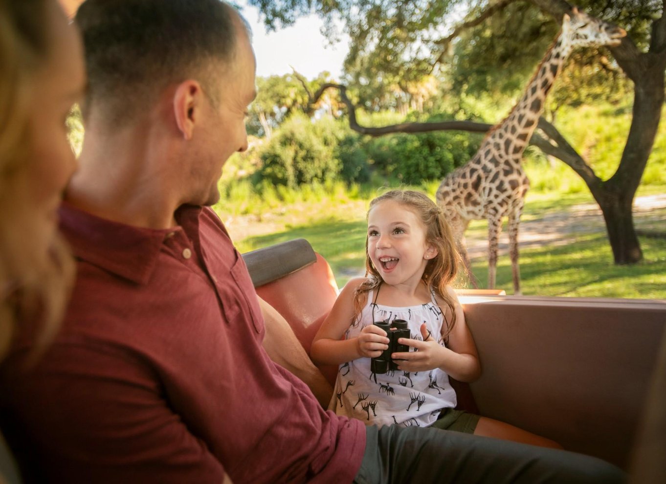 Orlando: Walt Disney World-billet med Park Hopper