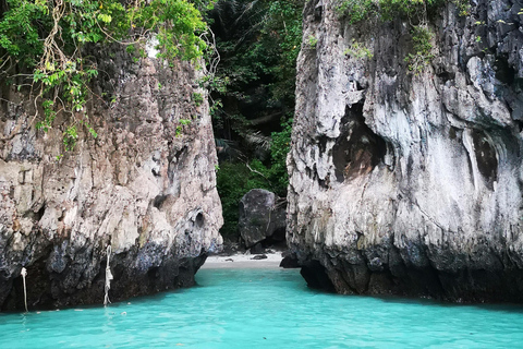 Phi Phi: mezza giornata in barca privata a coda lunga per Maya Bay