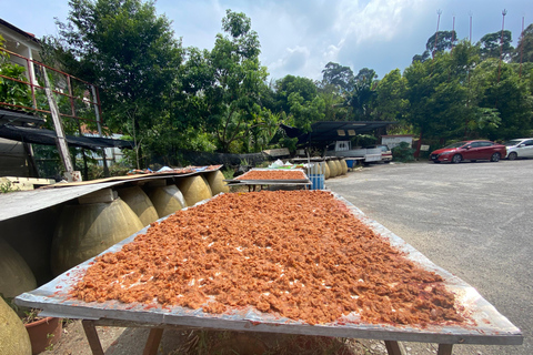 Penang: Balik Pulau Kulturerlebnis &amp; DorftourPenang: Kulturelle Erlebnisse in Balik Pulau &amp; Dorftour