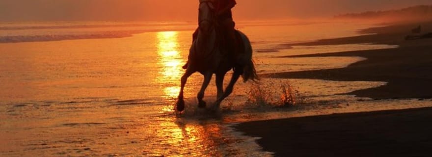 Esterillos Este : Randonnée à cheval sur la plage de Manuel Antonio