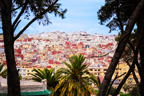 Tarifa: Day trip to Tangier by ferry with exclusive VIP service Price: Day trip to Tangier by ferry with exclusive VIP service