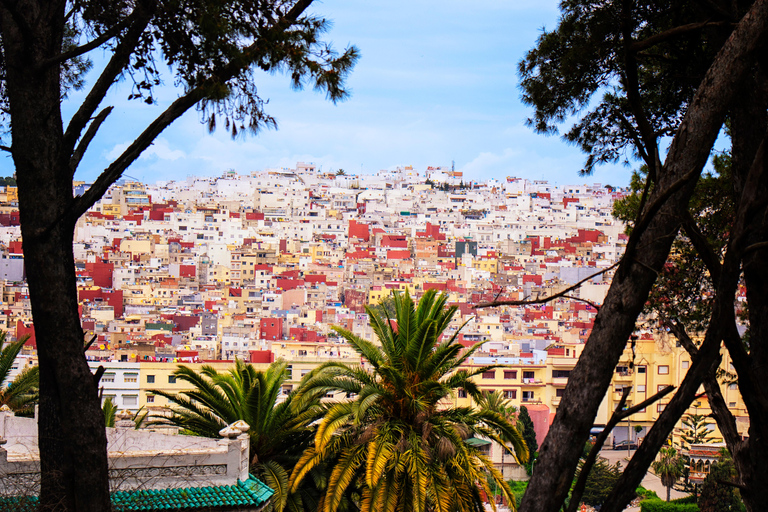 Tarifa: Day trip to Tangier by ferry with exclusive VIP service Price: Day trip to Tangier by ferry with exclusive VIP service