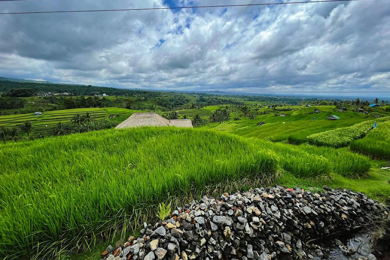 Bali: Poznaj północną część Bali - indywidualna wycieczka prywatnaNorth Bali Trip C